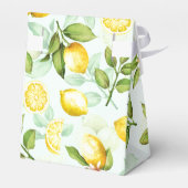 Munt voor de Waterverf van fruit op de zomervakant Bedankdoosjes (Achterkant)