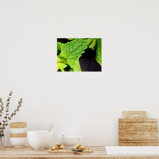 Muntbladposter Poster (Keuken)