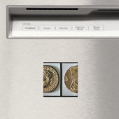 Munten die Nero weergeven Magneet (Insitu (Vaatwasser))