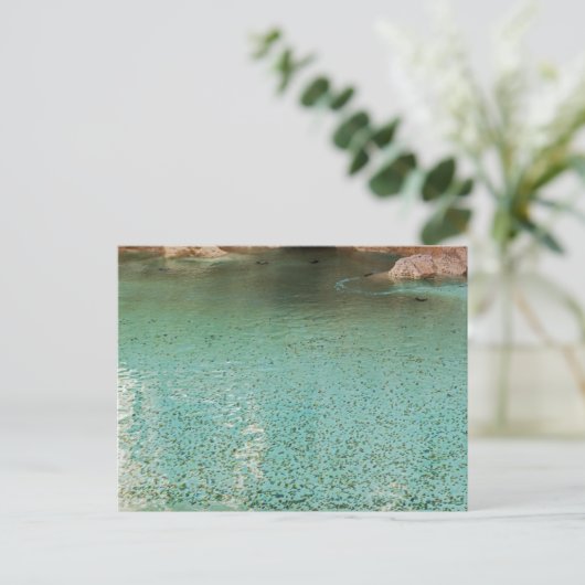 Munten in Trevi-fontein - Rome, Italië Briefkaart (Staand voorkant)