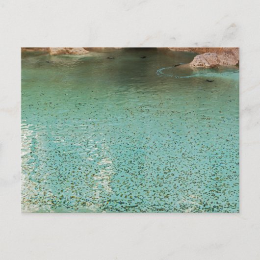 Munten in Trevi-fontein - Rome, Italië Briefkaart (Voorkant)