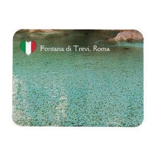 Munten in Trevi-fontein - Rome, Italië Magneet