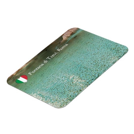 Munten in Trevi-fontein - Rome, Italië Magneet (Linkerzijde)