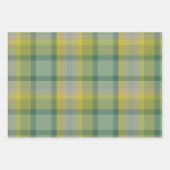Munten Inpakpapier Plat Vel Set van 3 (Voorkant 2)