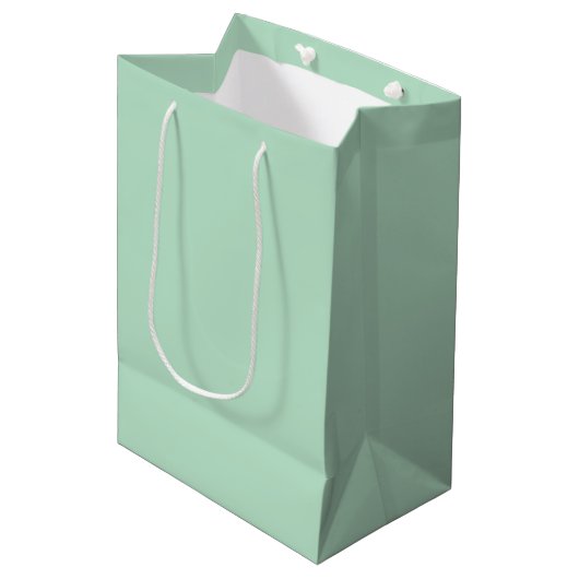 Muntgroene luxe cadeautas (Voorkant Gekanteld)