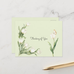Muntgroene Witte Tulpen Vlinder Denken Aan Jou Briefkaart