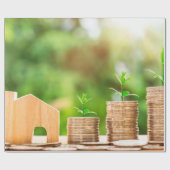 Muntinvestering thuis geld cadeaupapier (Vlak)
