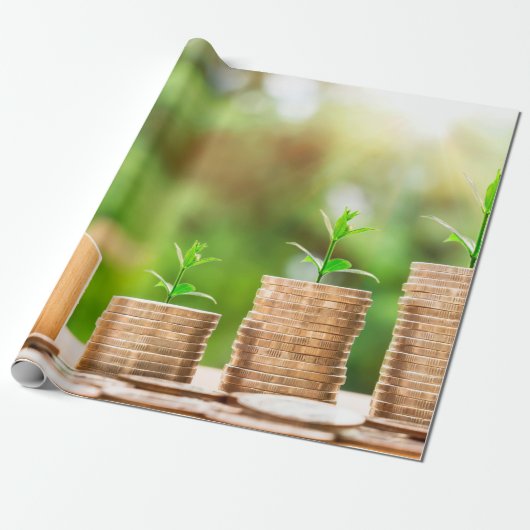 Muntinvestering thuis geld cadeaupapier (Uitgerold)
