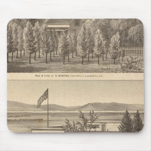 Munyan, Armstrong, Kapp eigenschappen Muismat (Voorkant)