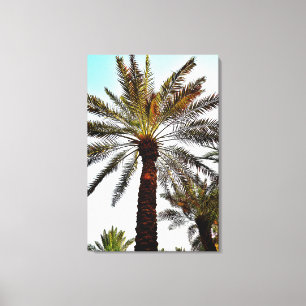 Murabba Palace Date Tree Canvas Afdruk