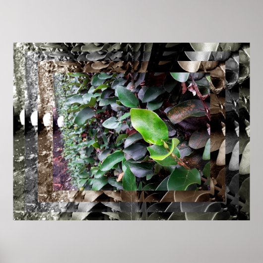 murais poster (Voorkant)