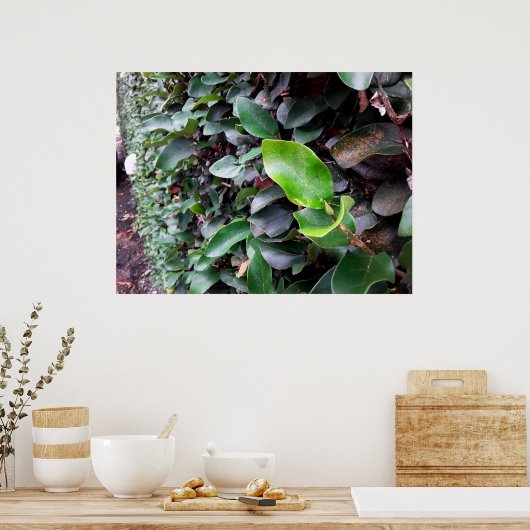 mural poster (Keuken)