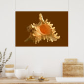 Murex Ramous Poster (Keuken)