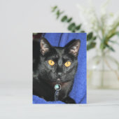 Murphy Briefkaart (Staand voorkant)