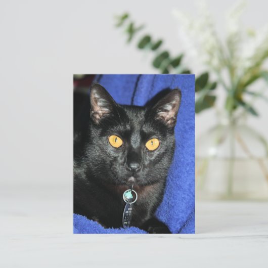 Murphy Briefkaart (Staand voorkant)