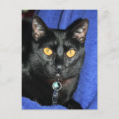 Murphy Briefkaart (Voorkant)