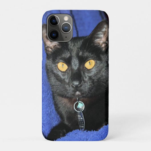 Murphy Case-Mate iPhone Case (Achterkant)
