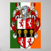 Murphy Coat of Arms Irish Flag Print (Voorkant)
