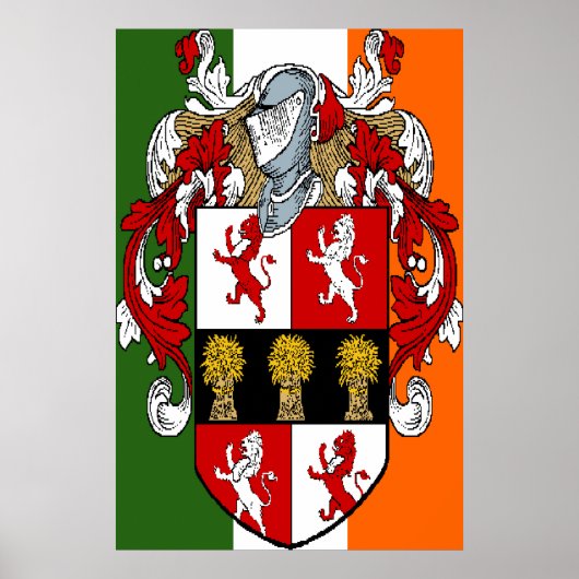 Murphy Coat of Arms Irish Flag Print (Voorkant)