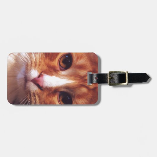 Murphy de Oranje tablet Bagagelabel (Voorkant horizontaal)