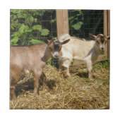 Murphy en Corky Tegeltje (Voorkant)