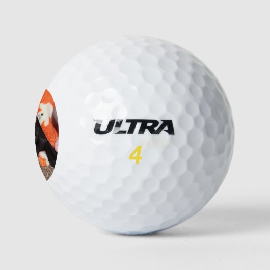 Murphy Golfballen (Logo)