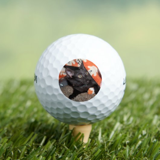 Murphy Golfballen (Insitu Shirt)