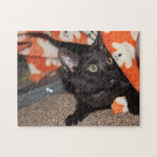Murphy Legpuzzel