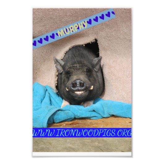 Murphy met zijn comfortabele blauwe deken foto pri afdruk (Voorkant)