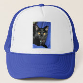 Murphy Trucker Pet (Voorkant)