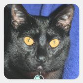 Murphy Vierkante Sticker (Voorkant)