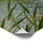 Murray Australia, Tree Branches, Poster (Hoek)
