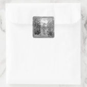 Murray Black White Photo Gum Tree Reflection Vierkante Sticker (Tas)