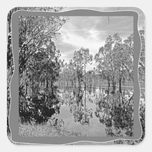 Murray Black White Photo Gum Tree Reflection Vierkante Sticker (Voorkant)