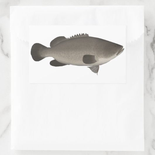 Murray Cod Rechthoekige Sticker (Tas)