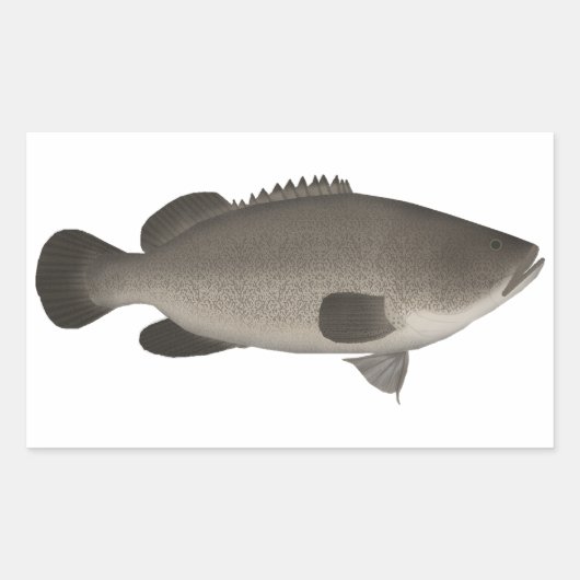 Murray Cod Rechthoekige Sticker (Voorkant)