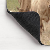 murray grays muismat (Hoek)