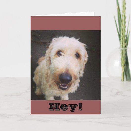 Murray Greeting Card Kaart (Voorkant)