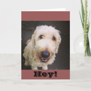 Murray Greeting Card Kaart