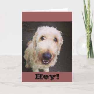 Murray Greeting Card Kaart