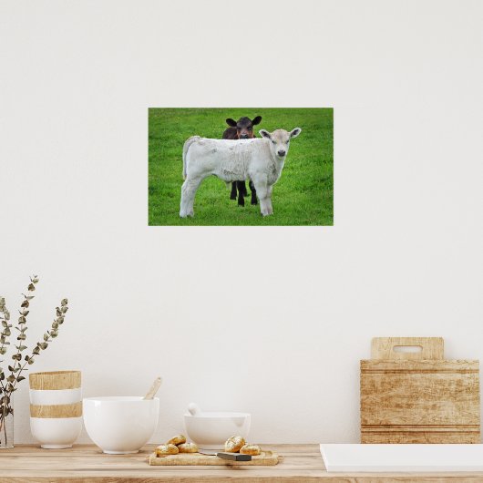 Murray Grijze kalveren (typische landelijke scène  Poster (Keuken)