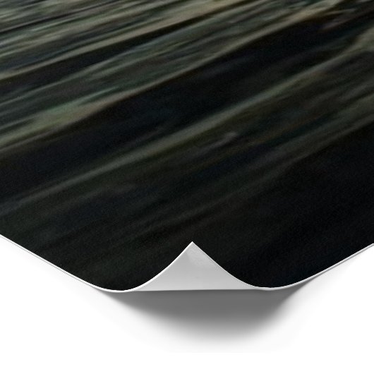 Murray Lake Murray Poster (Hoek)