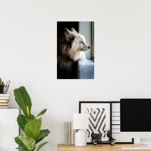 Murray - Pommeren Poster (Thuiskantoor)