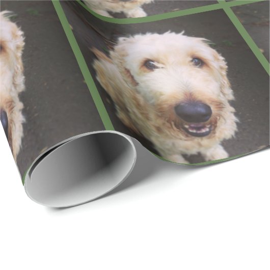 Murray Wrapping Paper Cadeaupapier (Rol Hoek)