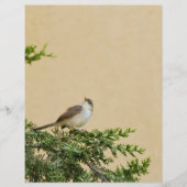 Mus Flyer (Voorkant)