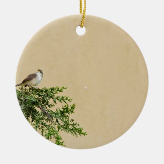 Mus Keramisch Ornament (Voorkant)