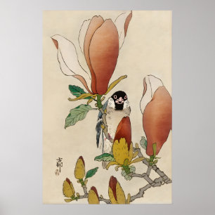 Mus op bloeiende magnoliatak Japanse fijne Poster