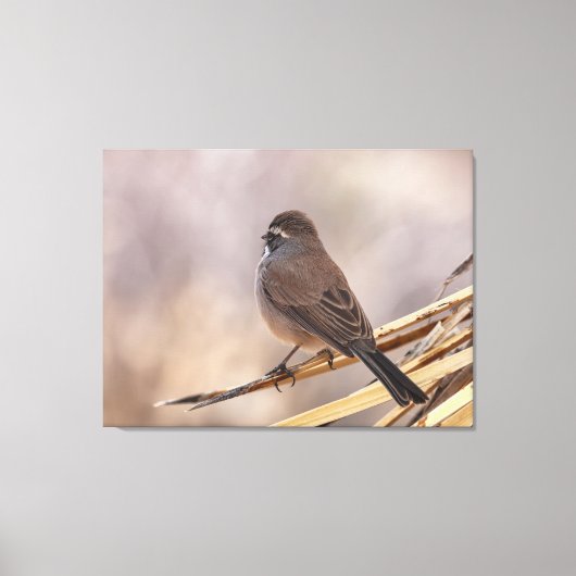 Mus op een dunne tak canvas afdruk (Voorkant)