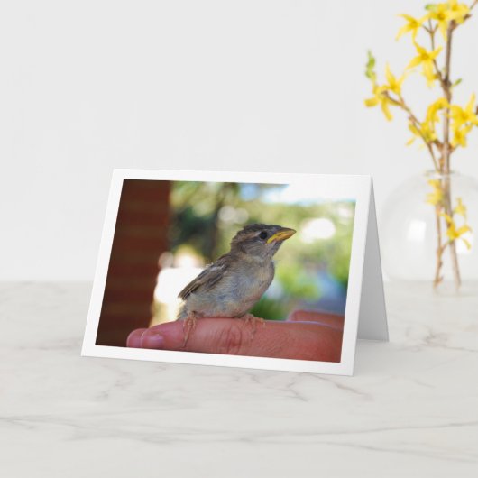 Mus op vinger kaart (Gele Bloem)