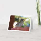 Mus op vinger kaart (Voorkant)